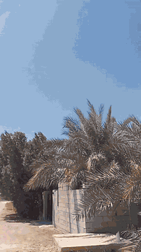 ٢٠١١ • ضربه • رقم بغداد