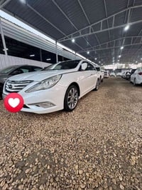 فول الفول • ٢٤٠٠ • رقم سليمانيه