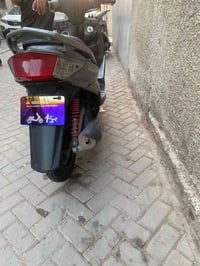 شباب دراجه سكنس فحل كوري درجه صارها 3 أشهر نازله من الرمبه درجه اجتي ب...