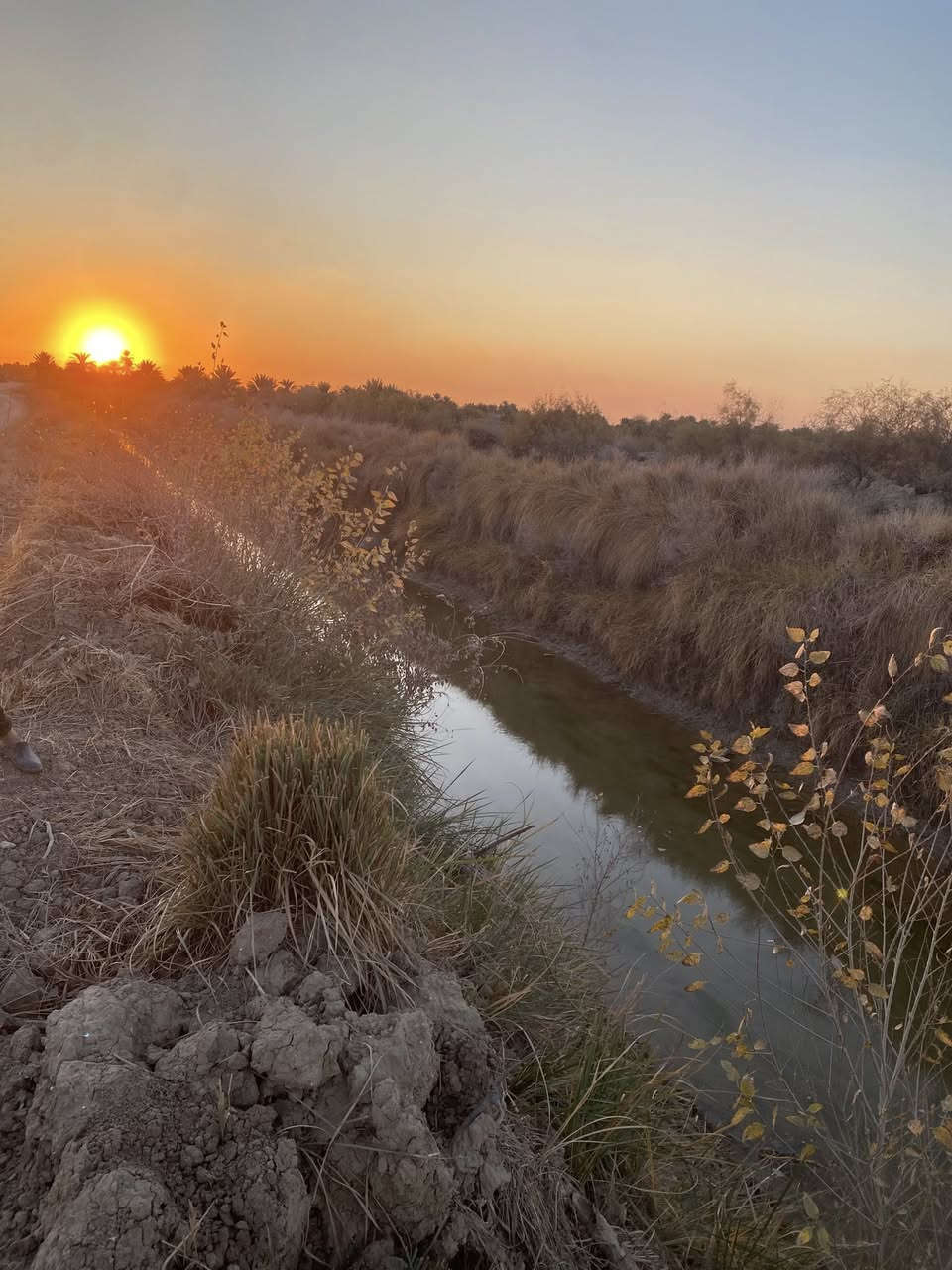 السلام عليكم
اللهم صل على محمد وال محمد 

يوجد لدينا قطعة أرض للبيع  

عنوانها. الشوملي البراكيه 
جدول حسان  تبعد عن الشارع العام 
كيلو متر واحد 

وشارعها قيد التنفيذ 
ارض زراعيه وحلوه 
بيها ماء وكهرباء 

المساحه (20) دونم 

طابو زراعي سند 25 تحويل مباشر بأسم المشتري

الارض تنباع كامله  مو قطع

للاستفسار الاتصال على الارقام التاليه 

***********   للاتصال 

***********   واتساب
