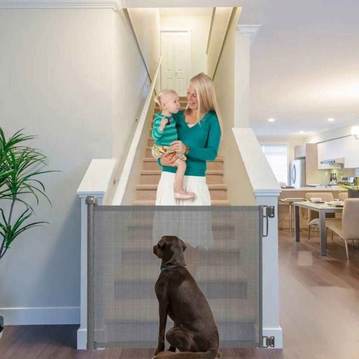 حاجز امان سلايد
السعر 46 مع التوصيل جميع المحافظات العراقية بغداد, العراق


**إذا كنت صاحب هذا الإعلان وتريد حذفه لأي سبب، رجاءا أرسل رسالة إلى الدعم الفني**