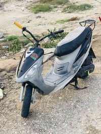 ماكس منغولي • كفاله • غراض كامل