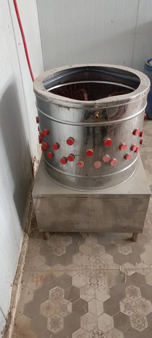 هلاسه دجاج مستعمله قليل جدا للبيع للاستفسار عل مازنجر او عل رقم *********** ابو مرتضى
