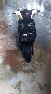 سلام عليكم دراجة سكنس نثيه للبيع تفاصيل واتساب ***********
