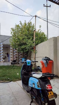 دراجه بوليس مكفول للبيع الاستفسار على هذا الرقم  07804353668