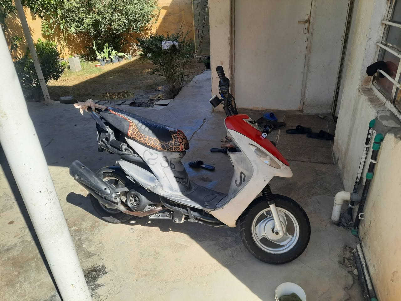 ماكس منغولي دراجه مرواس فقط بعدله دراجه ناعمه وخير من الله سلف هندر بي وقت ربع ديره تشتغل لا نضوح ولاكلشي صوت ماكو خرسه للمراوس بعدله كرهبايات كلهة شغاله


**إذا كنت صاحب هذا الإعلان وتريد حذفه لأي سبب، رجاءا أرسل رسالة إلى الدعم الفني**