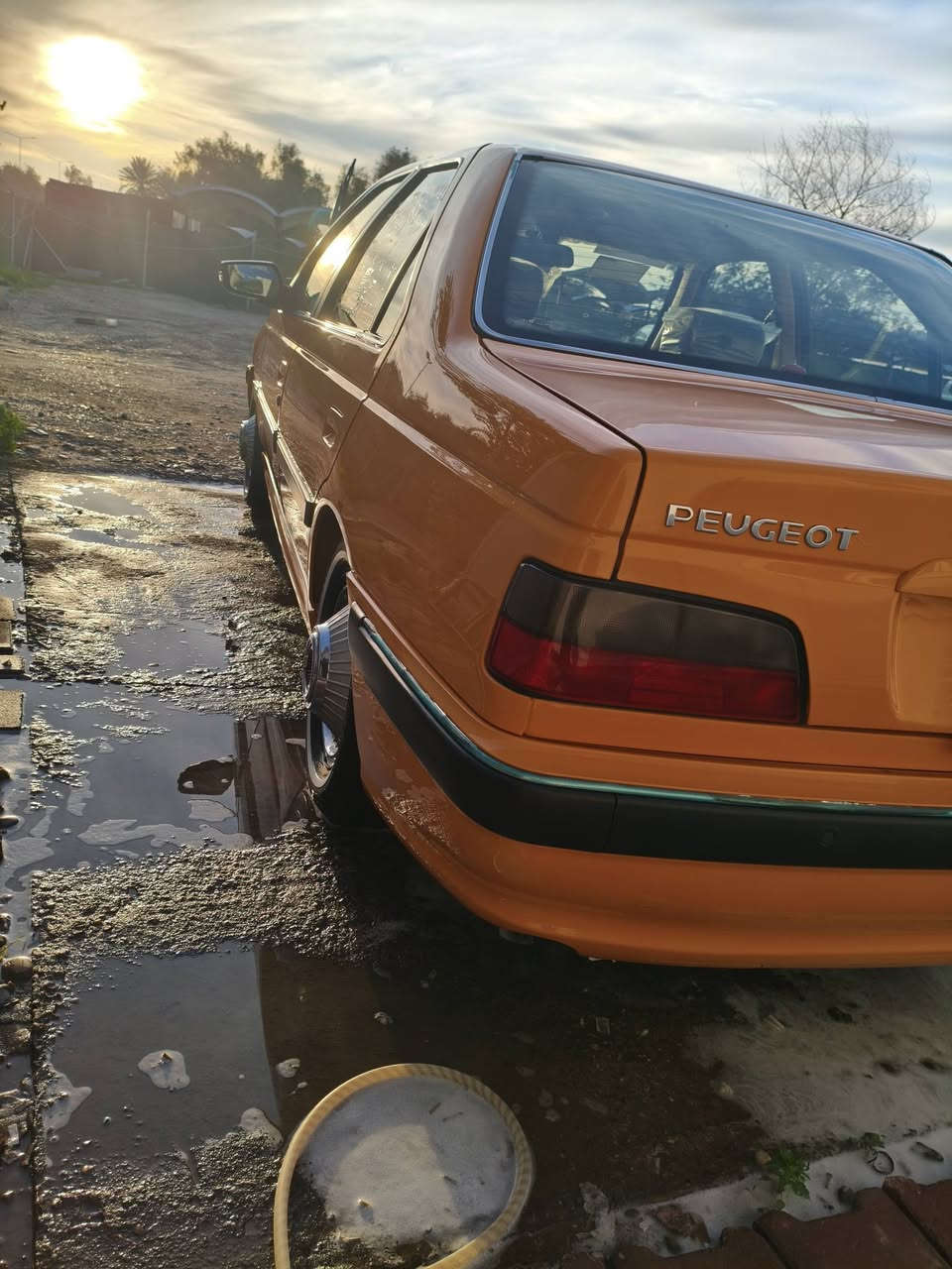 اسلام عليكم
بيجو بابل ٢٠٢٤

بغداد بسمي

مكفوله كفاله عامه 

دكه جاكوج مابيهه 

ترقيم جديد.

هزه وسنويه وارقام جدد

ماشيه ٤١

مدوشمه ارضيه 

منضومه غاز 
بغداد الشرطه الرابعه 
***********

85. $$$$$
