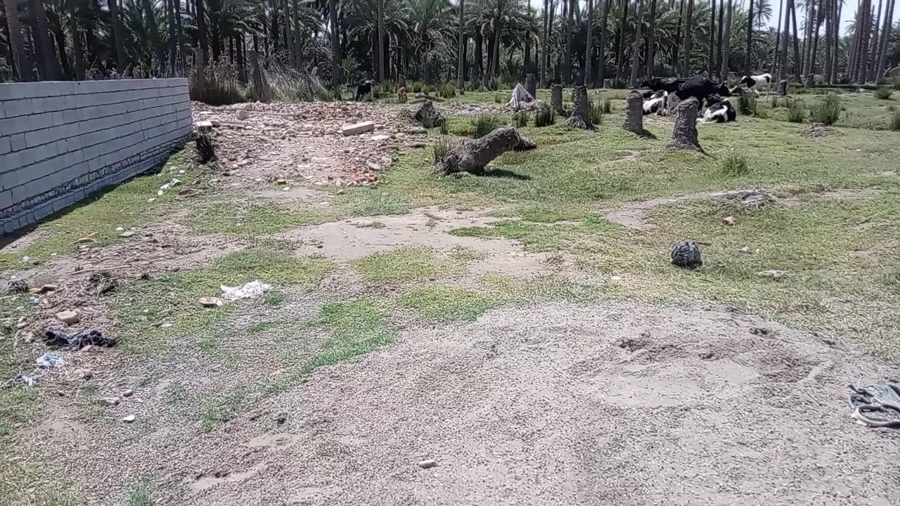 السلام عليكم ورحمة الله وبركاته حياكم الله أهل بلدروز الحبيبة قطعة طابو بستان المساحة 200 ١٠ واجهة و20 طول حواش البزانية قريبه من الرعاية الاجتماعية ويا طريق الشاخات السعر على الخاص *********** متوازي على البيع
