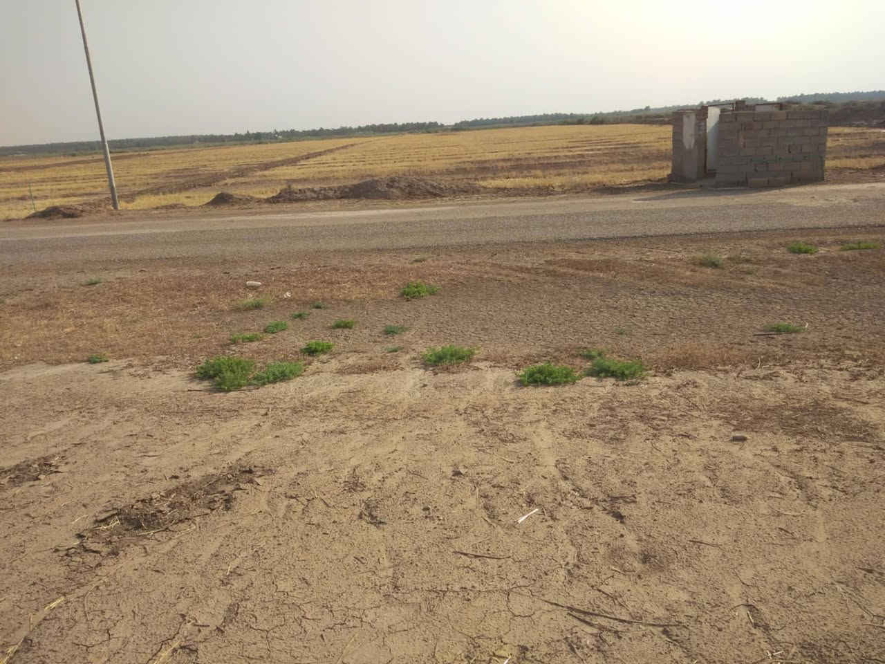 السلام عليكم ٦٥ دونم طابو سند زراعي سند ٢٥ وجه شارع  كهرباء بصدرها حصه مائيه الارض متروكه تبعد عن مركز المدينه ١٥ كيلو طريق الصويره الزبيديه سعر الدونم ٥ وبيها مجال *********** المكان الصويره
