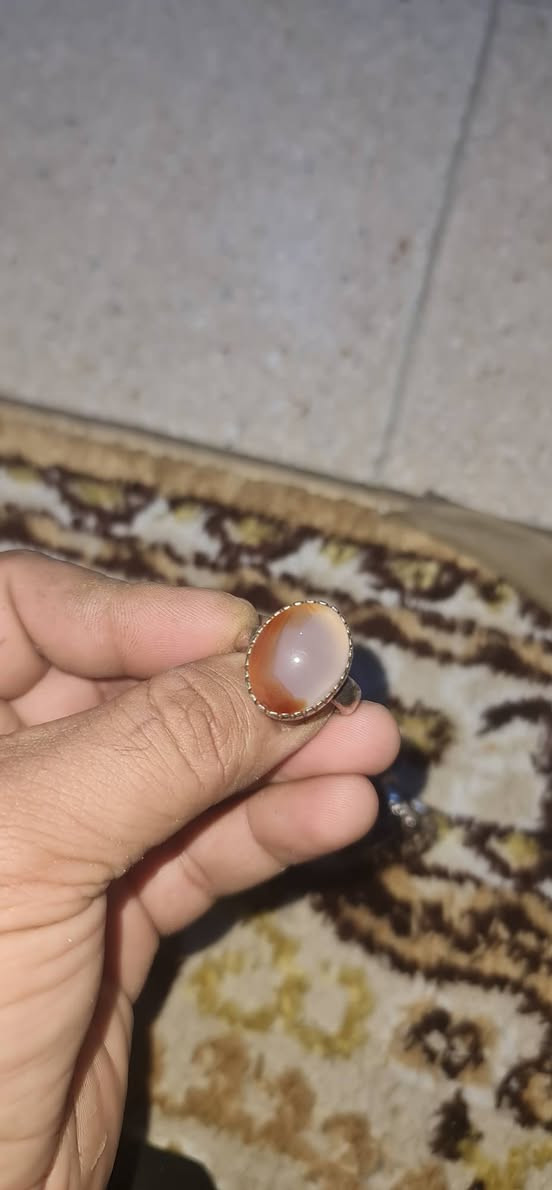 للبيع كلمن وسعره وعنواني بغداد
***********
