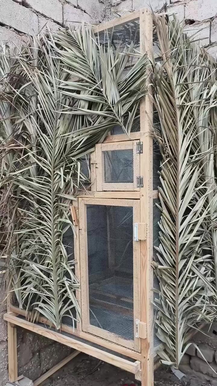 السلام عليكم 
متاح محمية بلابل ابيض الخدين مجهزه من العشوش فقط جيب بلابل   او شمرهن او المحميه جديده ما مخلي بلابل بيه 
الارتفاع 2 متر 
والعرض 1متر او 20
والنزال 1 متر او 20
تحتوي على مجر 
او الي يريد محميه اي قياس اجهز 
الموقع في قضاء الشامية


**إذا كنت صاحب هذا الإعلان وتريد حذفه لأي سبب، رجاءا أرسل رسالة إلى الدعم الفني**