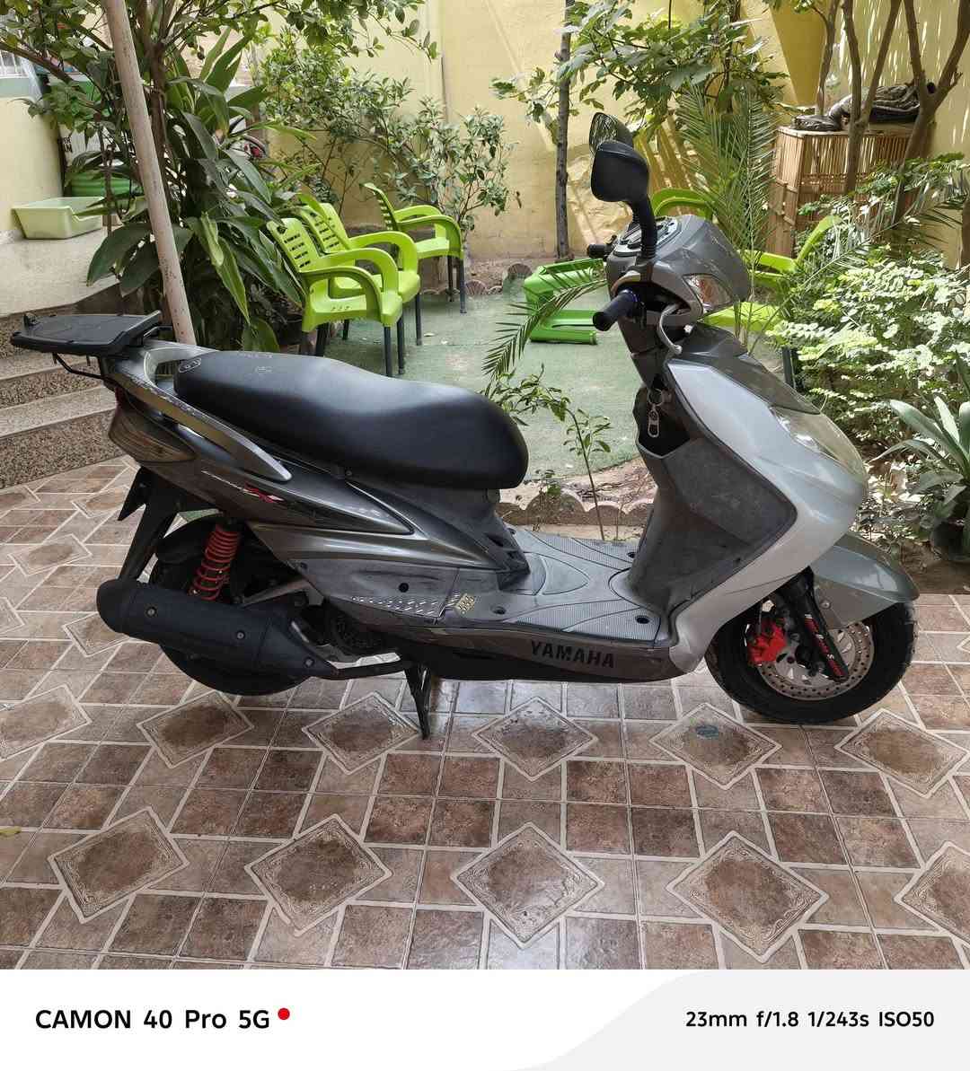 سكنس فحل للبيع بلادية مكفولة من الطول للطول السعر  950رقم ***********
