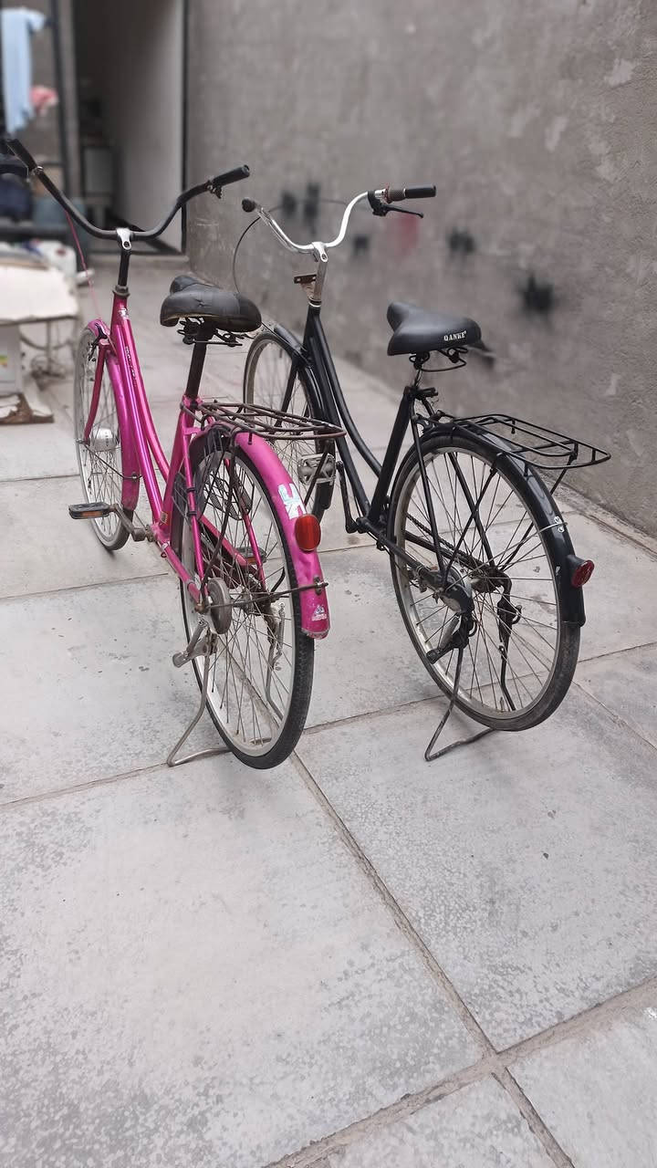 سلام عليكم شباب بايسكلات 3ثنين بناتيات واحد فكسد  
ال بناتيات نقص الوردي واير ويده مال بريك امامي 
الاسود بريك امامي يراد له  
وياله موس عدله حجمهن26 
الوردي حساس 
الاسود عادي 
الفكسد بي بريك مكينه وموضح كدامك 

مكان بغداد بياع لتواصل ***********
