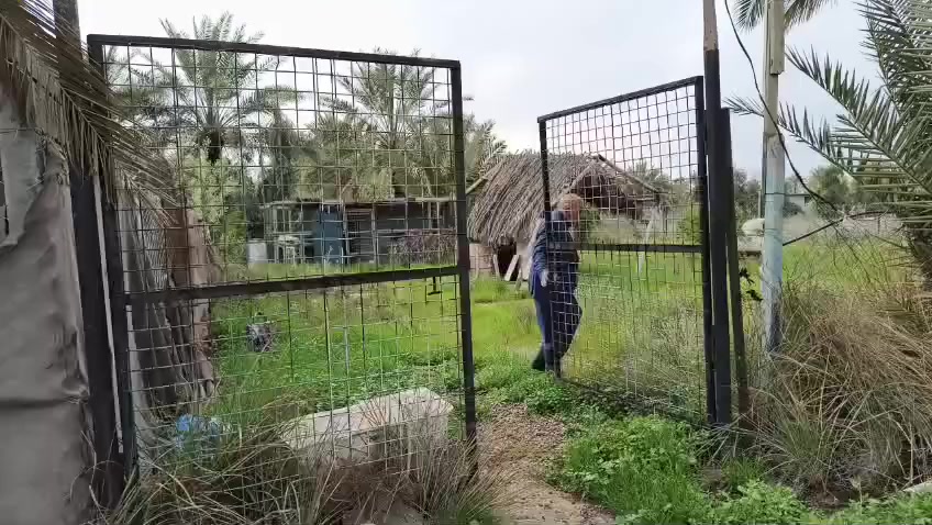 السلام عليكم 
مزرعه للبيع المساحه الكليه ربع دونم الصافي ٥٠٠ متر
طابو سند ٢٥ . يوجد كهرباء وشارع فرعي ٨ متر و شارع رئيسي ١٠ متر .ترهم سكن وترهم مكان ونسه 

يوجد ماء اساله وبئر ماء وغرفه مع السياج لتربيه الدجاج 
وفرن شوي و ٧ اشجار برتقال و٣ اشجار رمان و زيتون ونخل 
وتين 
العنوان مدخل الصناعه الثالثه قريب ع اسواق الكربولي
شارع حجي قيس البياتي

السعر ٤٢ بي مجال قليل
للاستفسار الاتصال على الرقم 
***********
الي يريده يدخل خاص حتى ادزه لان مايصير انزله هنا
