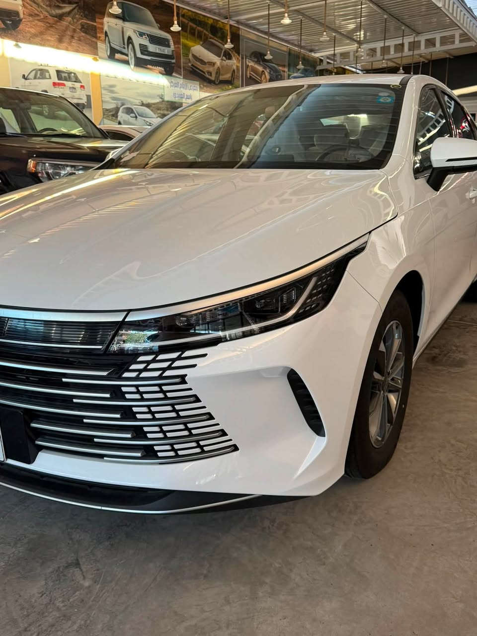 🚙🚙 بي واي دي دستروير 05 🚗🚗
🚙🚙 BYD DESTROYER 05 🚗🚗

  💥💥💥 (((((( قمارة حديد )))))💥💥💥 

‼️‼️ جميع الملحقات كاملة الشاحن + الكارت + عدة ‼️‼️

🔥🔥🔥 بسعر فووول منعش 20,600،000 مليون 🔥🔥🔥

  ‼️‼️‼️مرقم  بغداد صافي بدون دلالية ‼️‼️.                ✅✅ ماشية300كليو ✅✅

📍 بغداد الكريعات شارع الوقف ألسني شركة الذاكرون

للاستفسار ☎️

 

سجاد ***********
