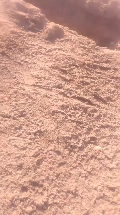 🧿 إعلان
 للبيع أرض زراعية واستثمارية 🧿
🔹 المساحة: 400 دونم
🔹 جنس الأرض: سند 25
🔹 تباع كاملة
 العنوان: الرفاعي مقابل جامعة أوما ومجمع الكناني للأثاث
🚧 تبعد عن الشارع العام 600 متر
📞 للاستفسار والاتصال على الأرقام التالية:
***********
***********
 يتوفر واتساب
