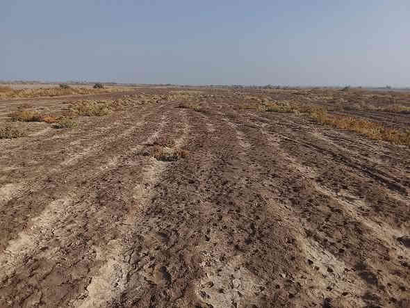 السلام عليك ارض زراعيه للبيع 20دونم عقد زراعي تبعد عن الشارع العام كيلو  واحد  للستفسار ***********
