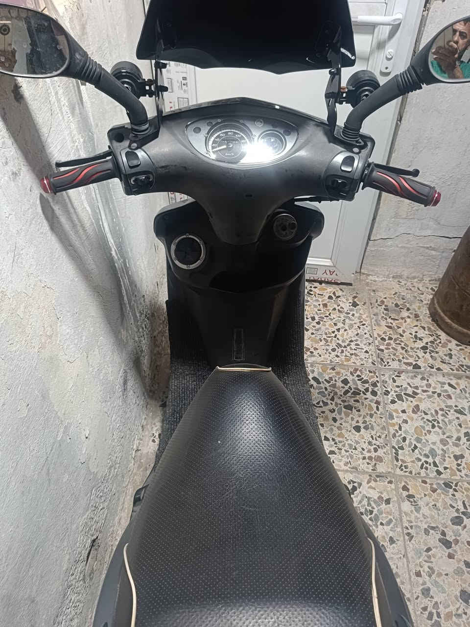 ثعلب مكفوله من كلشي متصرف الف عليها للبيع مكان بغداد الحريه سعر950 (***********
