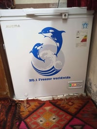 مجمدة • مستعملة شهرين • بغداد الحرية