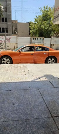 ويل SXT ١٨ • بلا فطر • بابل شارع ٨٠
