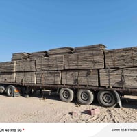 بلايود روسي • ٢٥٠×١٢٥ • بابل