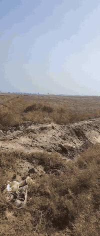 16 دونم • واجهة 50م • الشريف الرضي