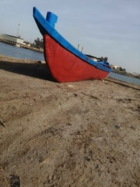 بلم فيبر • 13 ذراع • بلكرمة الشراي