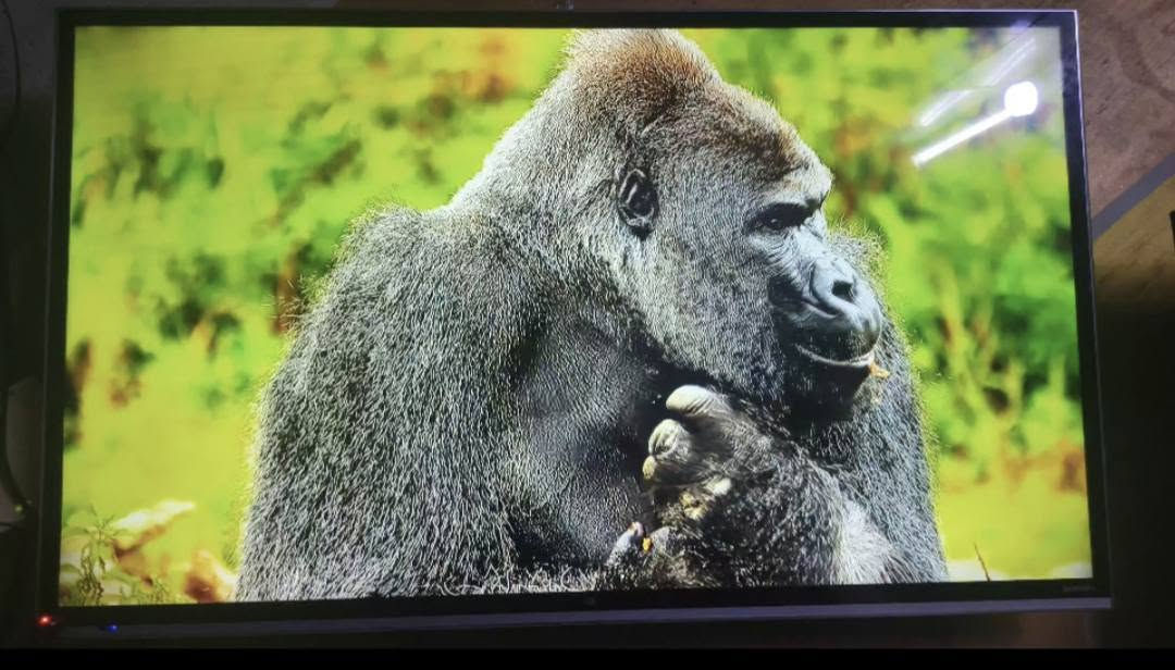 السلام عليكم للبيع شاشة تلفزيون نوع IlG الاصلي حجم 50 نضيفة جدا صورتها روعة بيها حماية ضد الكسر فول مواصفات  تفتح نيتفلكس يتيوب شاهد وجميع التطبيقات وياها تيفي بوكس مكان بغداد جديدة للتصال الرقم *********** بي واتساب
