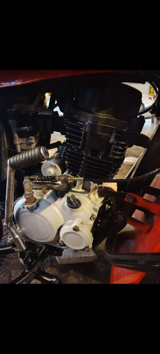 للبيع مديل ٢٣ أوراق مجفتة شركة *********** البصرة
