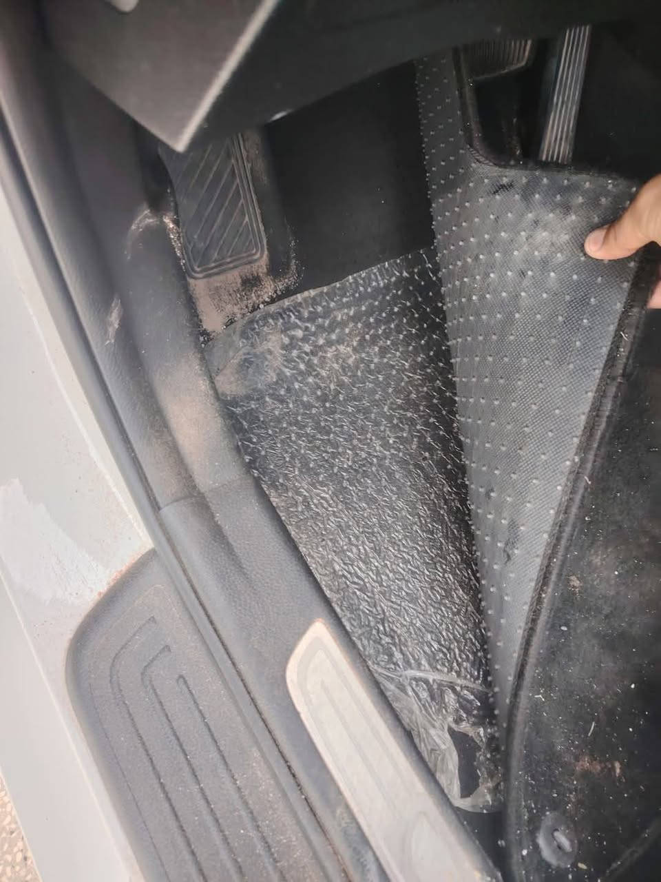 السلام عليكم ازيرا 16 للبيع او مراوس حسب القناعه فول مواصفات ما عدا الفتحه كشنات تبريد تدفئه دواخل عسلي ماكينه 6 سلندر ماشي 87 رقم ذي قار مشروع وطني مكان السياره ناصريه السعر 145 ❤️ ***********
