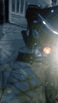 سلام عليكم 
دراجه بوكسر 2021
اوراقها كامله واصوليه 
الدراجه بيها خيط تبخير حتى ممبين كلش 
سعرها 850قفل مكاني الزعفرانيه 
***********
