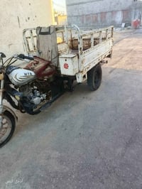 ستوته • سنوية • نضيفه