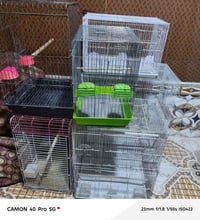 الزبير • اقفاص مستعملة • نظافة ٨٠٪