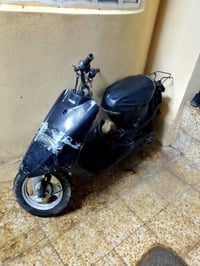 معمر • معدل • قوسيات