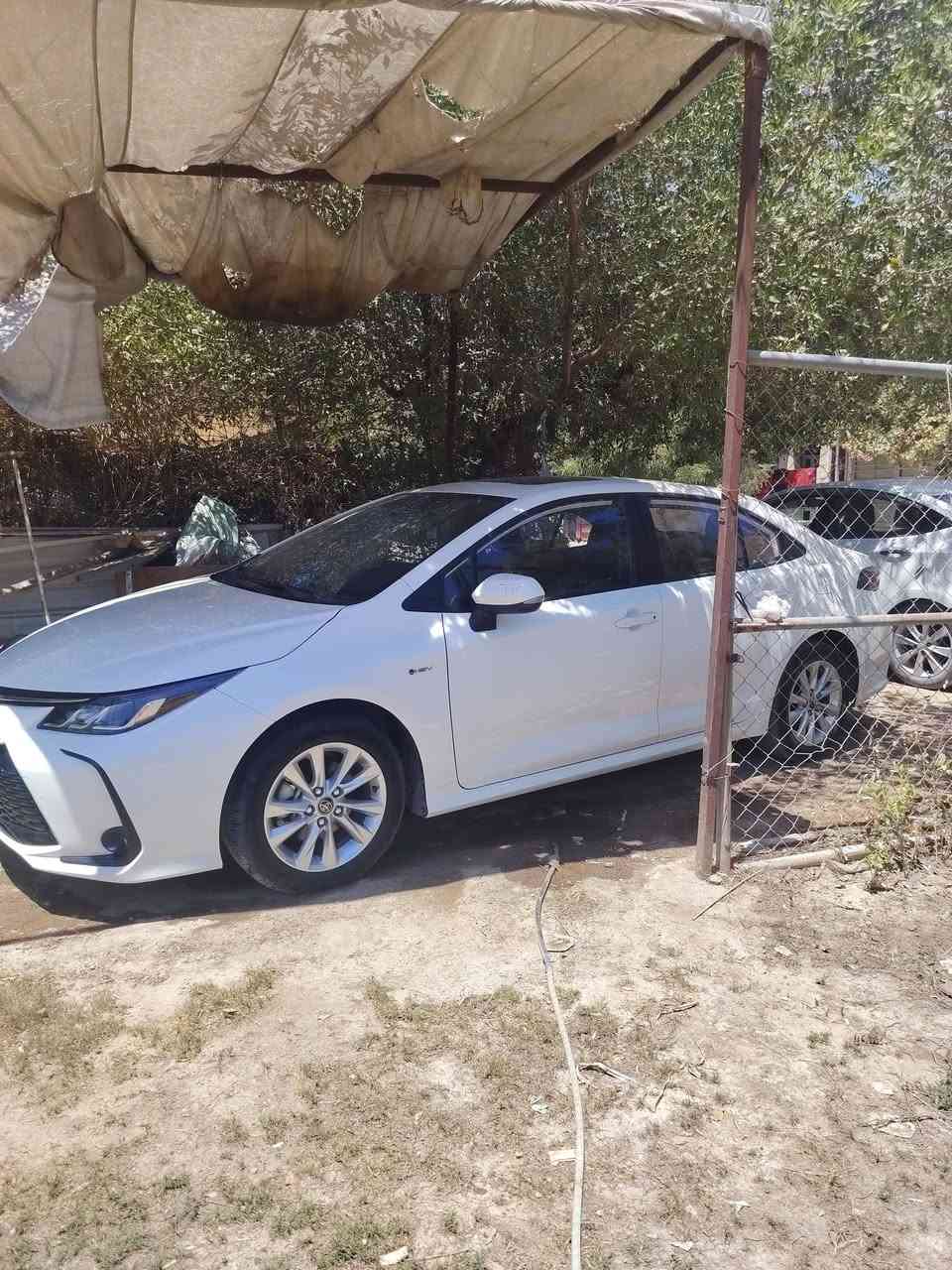 السلام عليكم كورلا هايبرد 2025 لسياره زيرو فول مواصفات العنوان بغداد الغزاليه ***********
