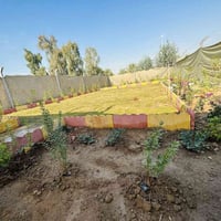 بعقوبه العثمانيه • طابو زراعي • ٢٠٠م