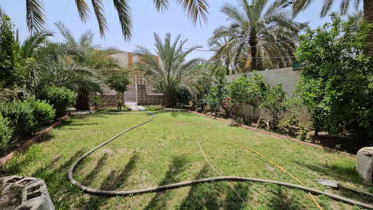 💥 المصداقية سر نجاحنا 💥 الملاك للعقارات كربلاء  

👈 الى أصحاب العوائل الكبيرة... إلى أصحاب المشاريع الصغيرة 》》 العقار يعتبر تجاري على شارع رئيسي 

💢 دونم مع ثلاثة منازل سكنية بناء حديث درجة أولى مساحة كل بيت قرابة ال 200 متر وطارمة وحديقة أمامية وشارع بعرض 8 م تقريبا جانبي وبستان خلف المنازل 
💢 المنزل الأول / أمامه حديقة وطارمة ويحتوي على غرفتين نوم وصاله واستقبال مفتوح على الصالة ومجمع صحيات خارجية وداخليه ومنور وممر خلفي ومطبخ حار وبارد ومخزن بيتونه 
💢 المنزل الثاني/ طارمة وصحيات خارجية وكلدور ومطبخ حار وبارد وصحيات داخلية وصالة واستقبال مفتوح على الصالة وغرفتين نوم ومخزن تحت الدرج ومنور وممر خلفي وكراج للسيارات مشابه لمحتويات المنزل الأول 
💢 المنزل الثالث/ طابقين الطابق الأول مشابه للمنزلين السابقين والطابق الثاني كذالك بيت فخم 
💢 اخيرا البستان يحتوي على عدد من النخيل والأشجار والورود 
💢 جنس الأرض طابو زراعي سند 25
💢 جميع الخدمات متوفرة 

💢 العنوان// كربلاء _ شارع بغداد عمود 55 _ خلف جامعة الزهراء _ قرب مدارس العميد الابتدائية _ الحسينية طريق مطبخ العتبة 
💲 السعر = ( اما تراسلنا واتساب أو تكتب السلام عليك يا فاطمة الزهراء ع ) 

🎬 اذا كنت شراي فعلا راسلني واتساب ادزلك فيديوا 7 دقائق يوضح جميع التفاصيل وداخل المنازل 
 

🔴عندك عقار للبيع و محتار  يم الملاك لا تحتار سهله ما عليك سوى التواصل معنا : 

☎️ ***********          ☎️ ***********
                  محمد أبو ملاك الحسناوي 

زوروا موقعنا : مكتب أملاك الخير _ شارع الرابط _ مقابيل المعمل المقرنص

