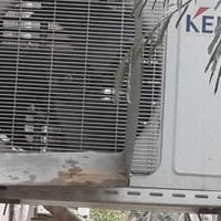 سبلت ٢ طن • بستم • الدورة
