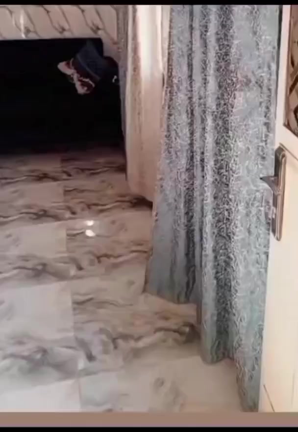 تخم 8مقاعد الثكيل ونضيف سعر، 300ولي مجال مكان جوادر قطاع 38.... وياه مفرش نيلي بلون الكوشات مستعجله عله بيعته


**إذا كنت صاحب هذا الإعلان وتريد حذفه لأي سبب، رجاءا أرسل رسالة إلى الدعم الفني**