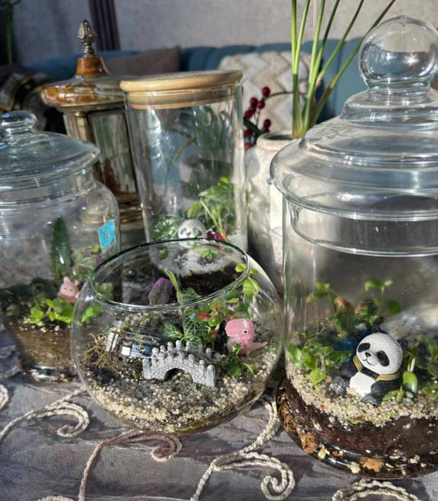 لمحبي القطع المميزة والنادرة
تيراريوم انيق تحفة من الطبيعة لاتحتاج اي عناية فقط اضاءة جيدة 
🚚 متوفر توصيل فقط 
#Jouriyyah_plants #هداياالعيد #نباتات #هدايا #plantlover #استشارات #ديكور # موصل


**إذا كنت صاحب هذا الإعلان وتريد حذفه لأي سبب، رجاءا أرسل رسالة إلى الدعم الفني**