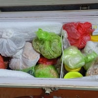 مجمدة • شغالة • حي الجزيرة