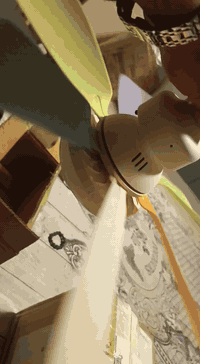 گڵۆپیێکی جوان و بەهێز ڕەنگ ئەگۆڕێت لەهەمان کاتیشدا پانکەیەو خۆی ئەسوڕێت شتێکی جیاوازو تایبەتە ***********
