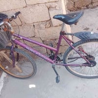 بيسكل • للبيع