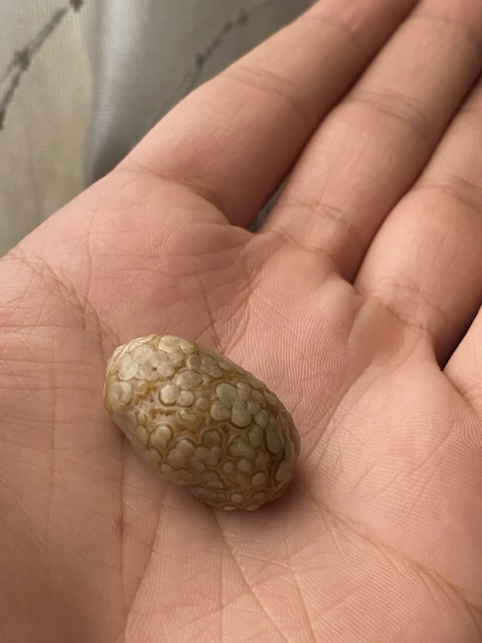 لأصحاب الذوق الرفيع (زوعه الحيه قديم ) والمهتمين بجمع الأحجار النادرة والقديمة: حجر مميز جداً بنقوش ربانية طبيعية فريدة وشكل انسيابي . الحجر قديم


**إذا كنت صاحب هذا الإعلان وتريد حذفه لأي سبب، رجاءا أرسل رسالة إلى الدعم الفني**