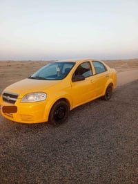 افيو • ٢٠١٠ • النجف الاشرف