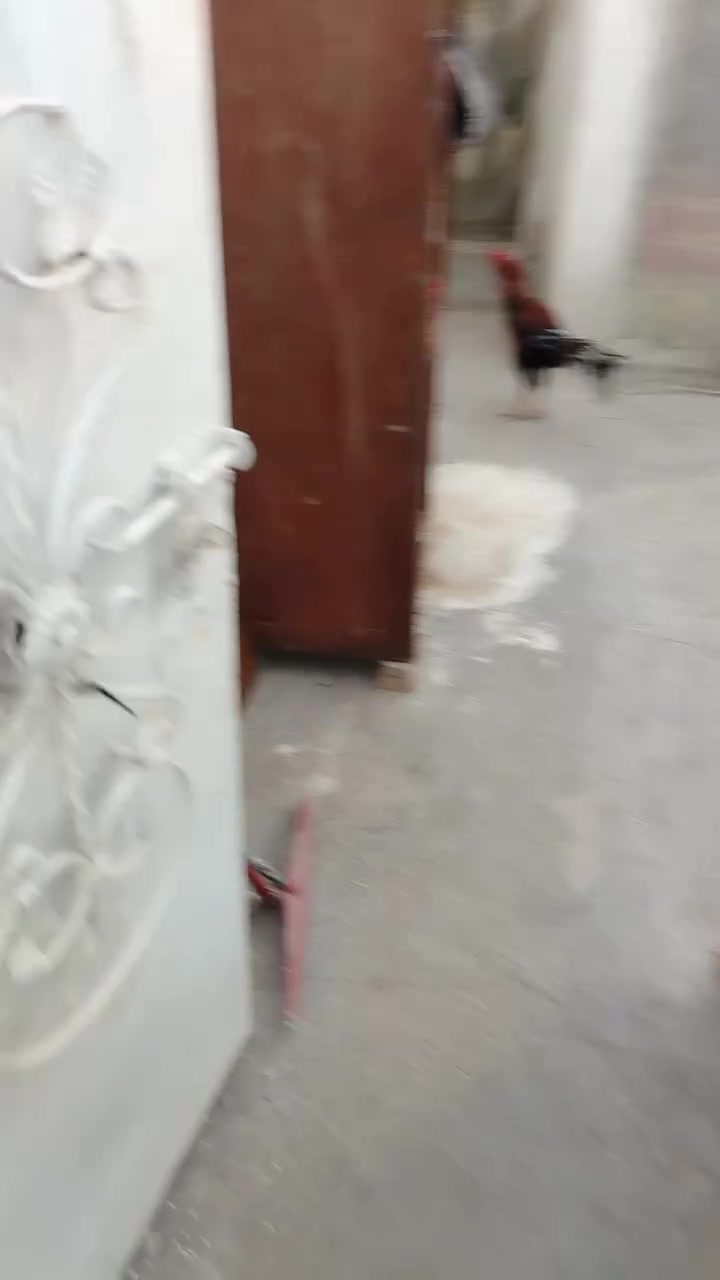 السلام عليكم مره خصت الادمن بيت البيع زراعي في منطقه الشعله الدوانم سند17 البيت كامل مي كهرباء مجاري جاهز و شارع تبليط ثواني عليك البيت مساحته 100متر وهاذه رقمي *********** واتساب متواجد
