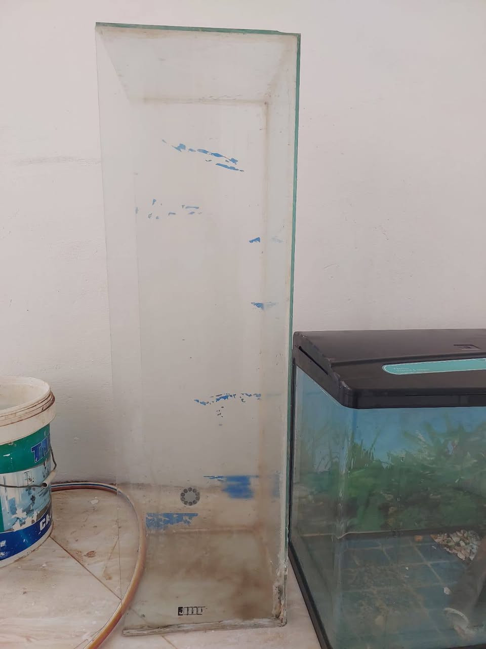 للبيع احواض سمك
حوض سمك مستطيل بسعر 25
حوض سمك المربع مع اغراضه بسعر 50


**إذا كنت صاحب هذا الإعلان وتريد حذفه لأي سبب، رجاءا أرسل رسالة إلى الدعم الفني**