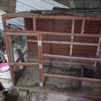 قفص لبيع ( 07718542763) هذا رقمي واتصل