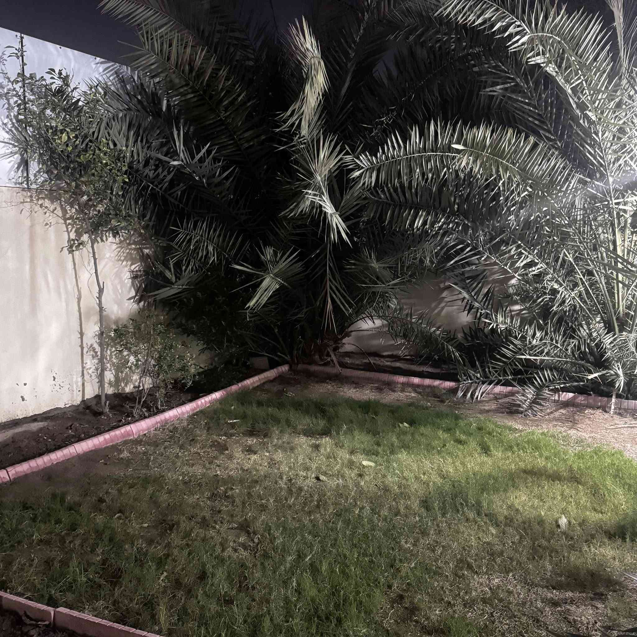 ( قرية الغدير الاولى 🏘️ )

دار بمساحة 200 متر مربع تقع في قرية الغدير الأولى، تتميز بتصميم عملي ومواصفات جيدة.

مواصفات الدار:
 • 4 غرف نوم
 • استقبال واسع
 • مطبخ حار ومطبخ بارد
 • كراج للسيارة
 • حديقة
      سابقاً كان الطابق الثاني معزول بالكامل
 • درج مستقل مؤدي إلى الكراج
 • يحتوي البيت على كتائب و قمرية سكيسبان

الدار مناسبة للسكن العائلي ومجهزة بشكل مريح.

                 ( لمعرفة السعر💰 علق برقم 2 )

للأستفسار مراسلة الصفحة
 أو الاتصال على الرقم ***********

#محمد_العزاوي_للاستثمار_والتسويق_العقاري
#مكتب_البلال_للعقار
