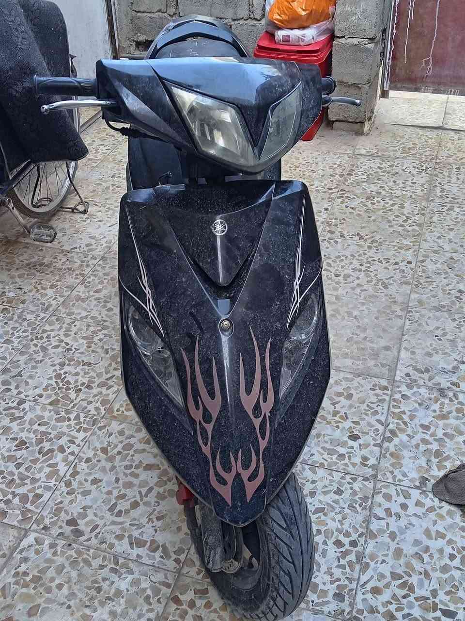 ثعلب 🦊مال رمبه صار اسبوع من منزله حته الكاتبه موجوده تجي تاخده من باب البيت سعره 750وبيه مجال المكان شعله الرقم ***********
